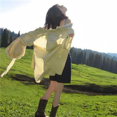 蒲公英的灰尘
